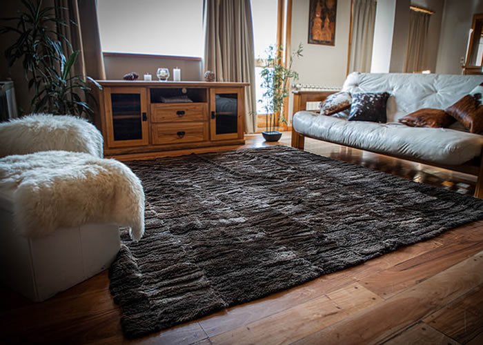 Brown Nutria (Myocastor) Rug. ALF 06